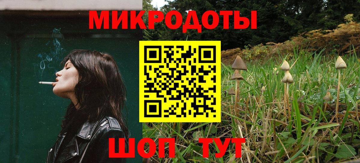 Псилоцибиновые грибы Cubensis Вязьма